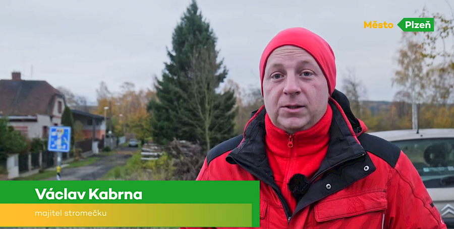 Jednatel společnosti daroval vánoční strom pro Plzeň